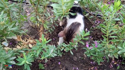 KID TRAPPED IN SAND!