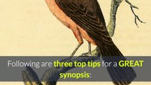 Top Tips on Creating a Book Synopsis