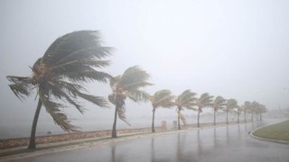 Irma Hurricane Update - Irma and Jose