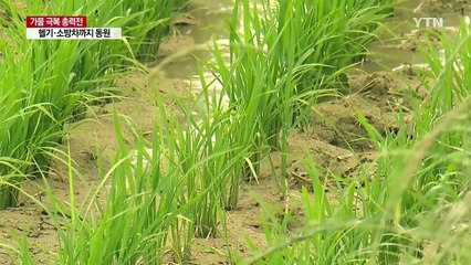 헬기·소방차·군인까지...가뭄 극복 총력전 / YTN