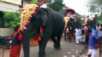 Like a Boss _ Compilation #3