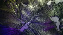 Blue Sunspots