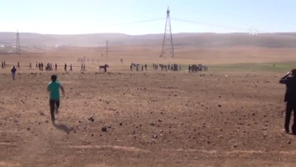 Geleneksel At Yarışları Yapıldı