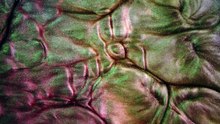 Benard sun spots