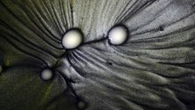 3 Sunspots river