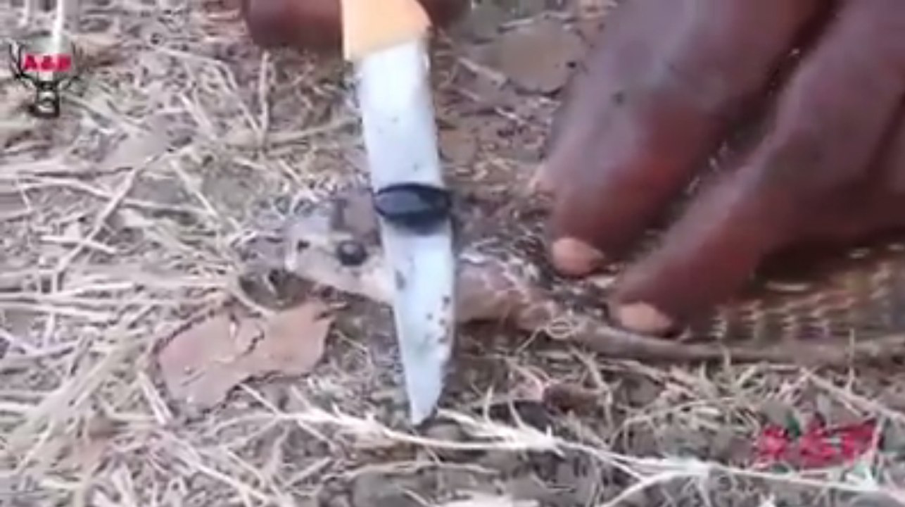 What's is that black thing??