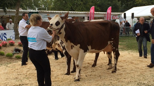 Concours Race Normande : comment ça marche ?