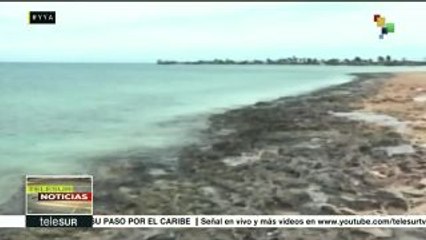 Huracán Irma ocasiona significativos destrozos en provincias de Cuba