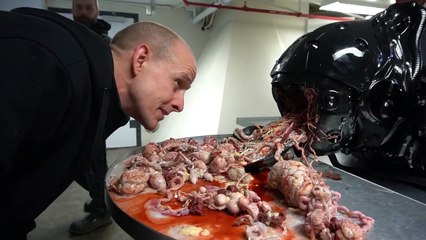 Oats Studios What is Zygote?