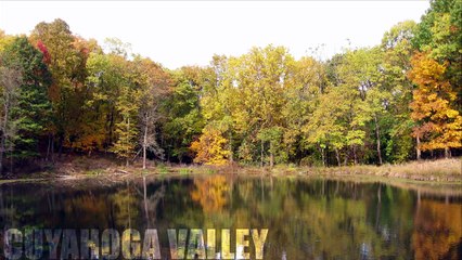 See all U.S. National Parks in One Minute - National Geographic