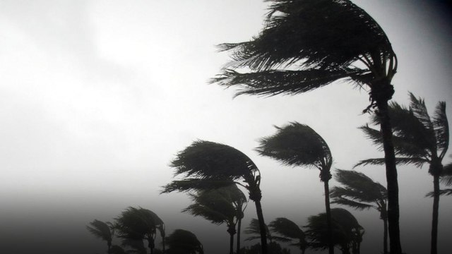 Hurrikan Irma pfeift mit Tempo 200 durch Florida