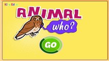 Animal Alphabet, ABC Flash Cards, Animal Sounds Game for Toddlers withABC Animal & Veggie