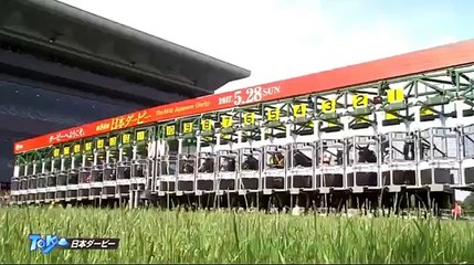 2017日本ダービー　レイデオロ