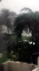 Συγκλονιστική μαρτυρία Έλληνα από το Μαΐάμι. 'Είμαστε σε κατάσταση πολιορκίας'