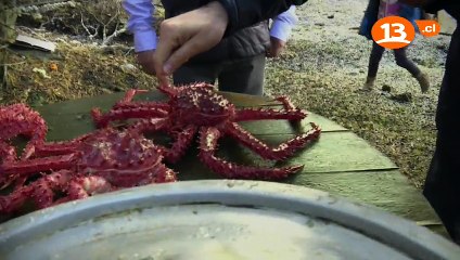 Lugares que Hablan 2017 - Puerto William  El Último Rincón del Mundo -pt3