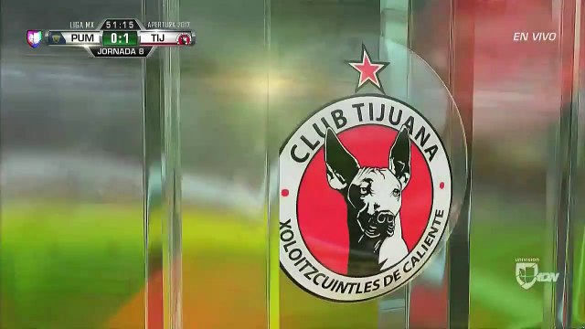 0-1 Gustavo Bou Goal Mexico Primera Division Apertura - 10.09.2017 UNAM Pumas 0-1 Club Tijuana