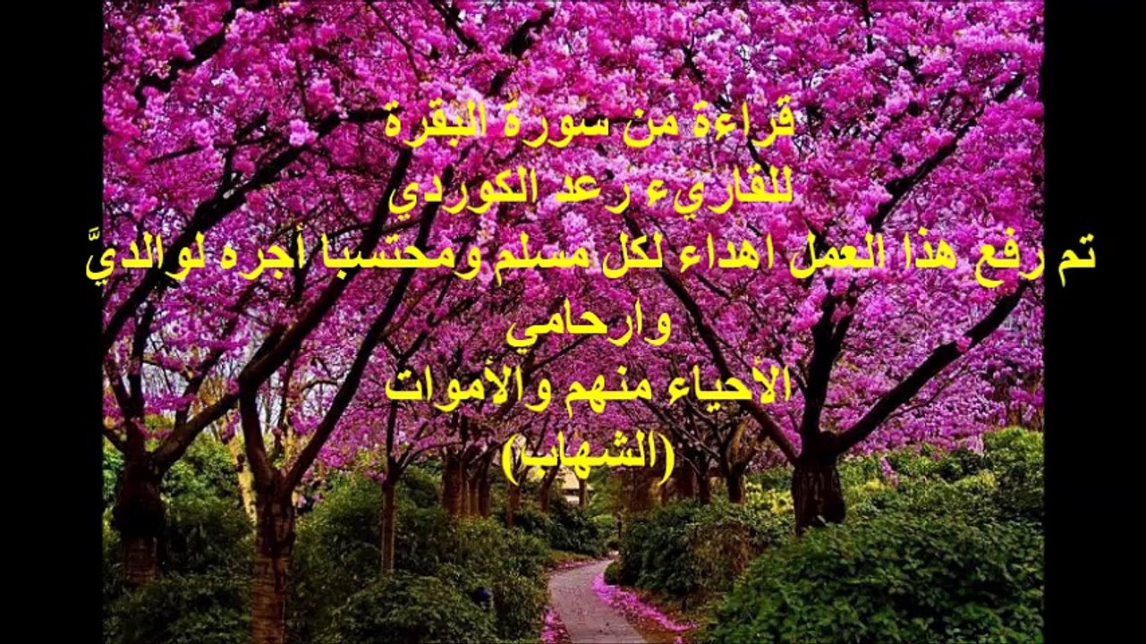رعد الكوردي سورة البقرة