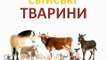 МУЛЬТФІЛЬМИ ДЛЯ ДІТЕЙ УКРАЇНСЬКОЮ. ДИКІ ТА СВІЙСЬКІ ТВАРИНИ. ВИВЧАЄМО КОЛЬОРИ, ОВОЧІ ТА ФР