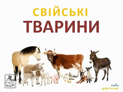 МУЛЬТФІЛЬМИ ДЛЯ ДІТЕЙ УКРАЇНСЬКОЮ. ДИКІ ТА СВІЙСЬКІ ТВАРИНИ. ВИВЧАЄМО КОЛЬОРИ, ОВОЧІ ТА ФР