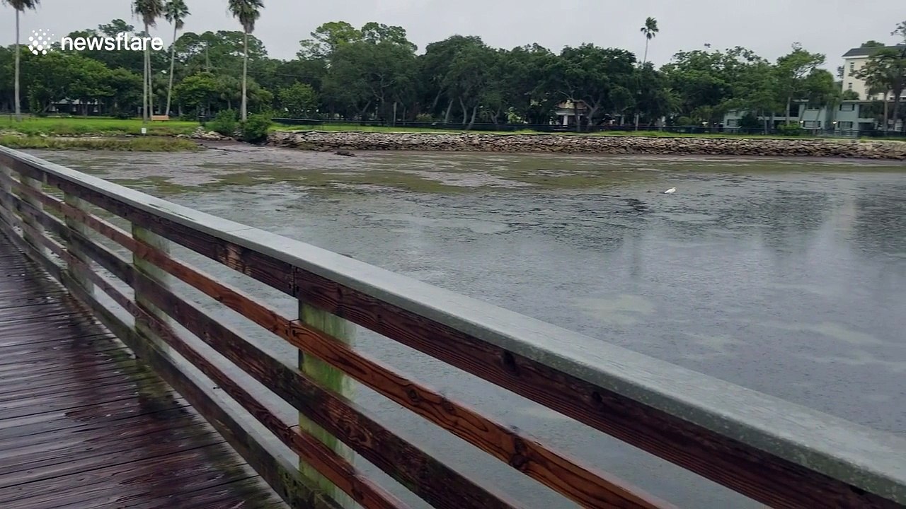 Hurricane Irma drains Florida beach