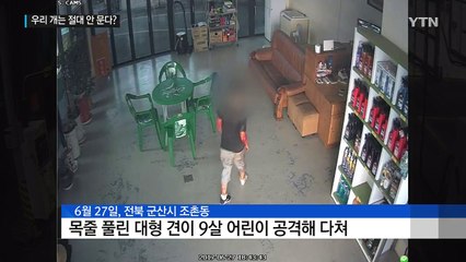 "우리 개는 안 물어요"...주인들의 착각 / YTN