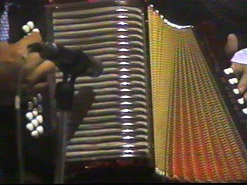 LOS POLLUELOS - HNOS ZULETA