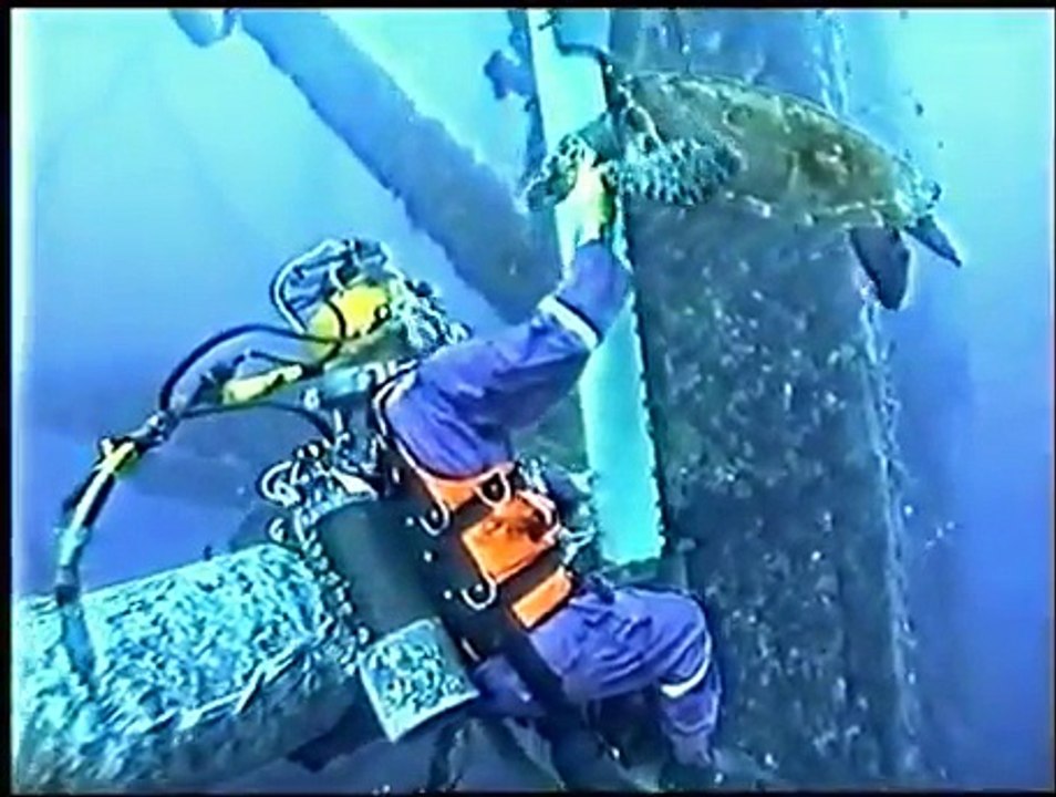 En pleine réparation d'une canalisation sous-marine il va avoir une visite adorable!