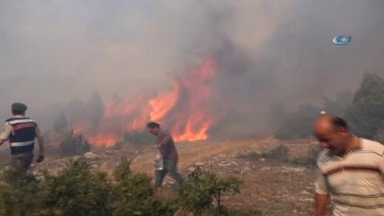 Kütahya'da Orman Yangını Söndürülemiyor