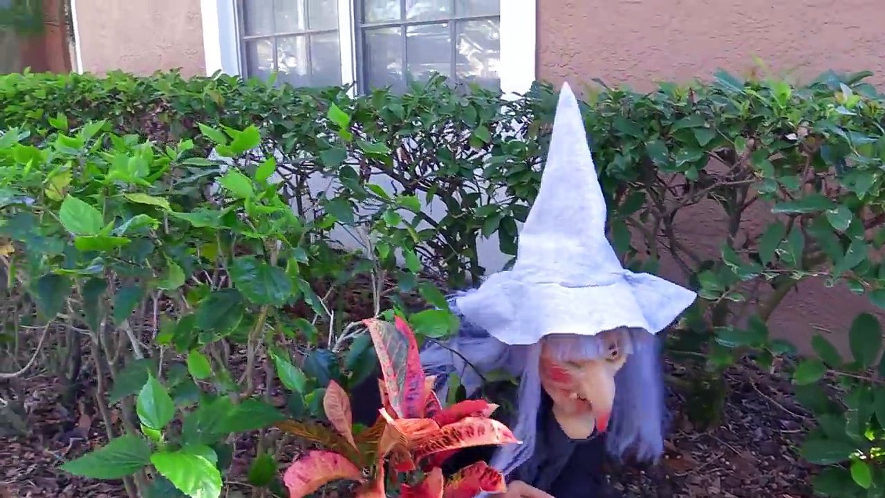 Snow White Baby Magics Shoes w/ Wonder Woman, Joker, Spiderbaby, Catwoman, hide & seek