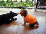 bebek ile köpek MUHTEŞEM DOSTLUK İZLE