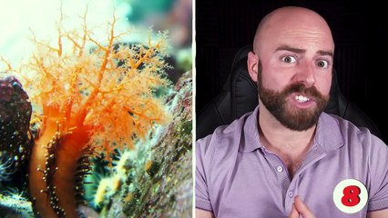 50 AMAZING Facts to Blow Your Mind! #88