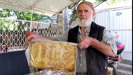 Bal Peteğindeki Allah Yazısı Görenleri Şaşırtıyor