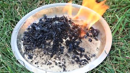 Incroyable noir expérience feu serpent Science