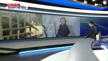 [날씨] 20m 초대형 얼음 절벽 타며 더위 탈출 / YTN