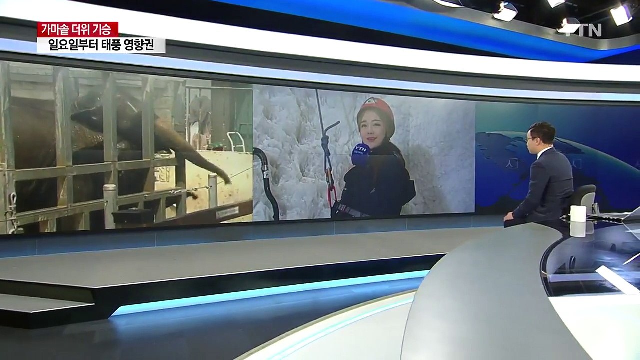 [날씨] 20m 초대형 얼음 절벽 타며 더위 탈출 / YTN