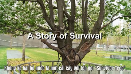 Thăm khu Tưởng niệm Quốc gia 11/9 tại New York