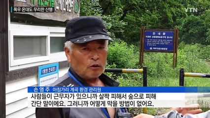 폭우 예보에도 무리한 산행...고립·조난 사고 속출 / YTN