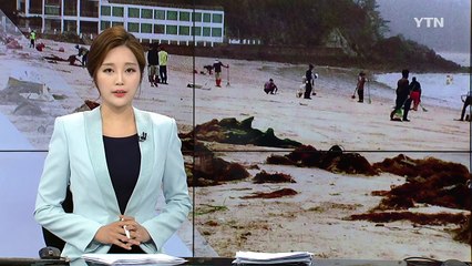 충남 태안 해수욕장에 떠밀려 온 기름 덩어리 / YTN