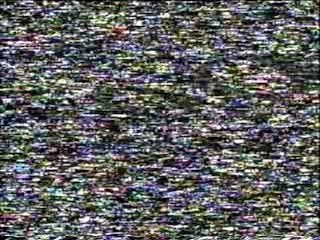 Exile / Zoo fall in love