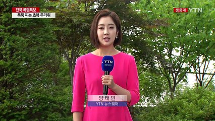 [날씨] 전국 폭염특보...푹푹 찌는 초복 무더위 / YTN