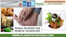 Herbal Remedies For Diabetic Neuropathy | Natural Treatment