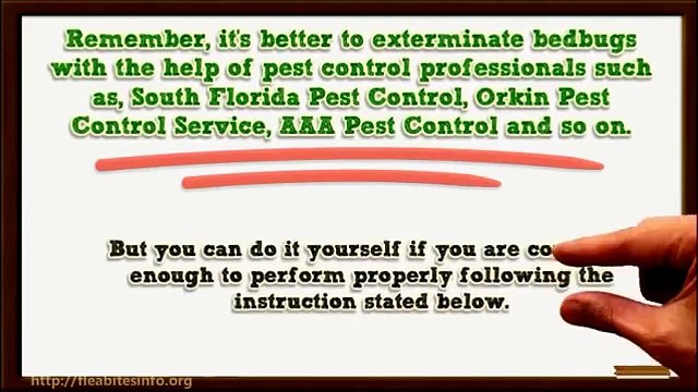 4 Steps To Kill Bed Bugs From Entire Home With Baking Soda!