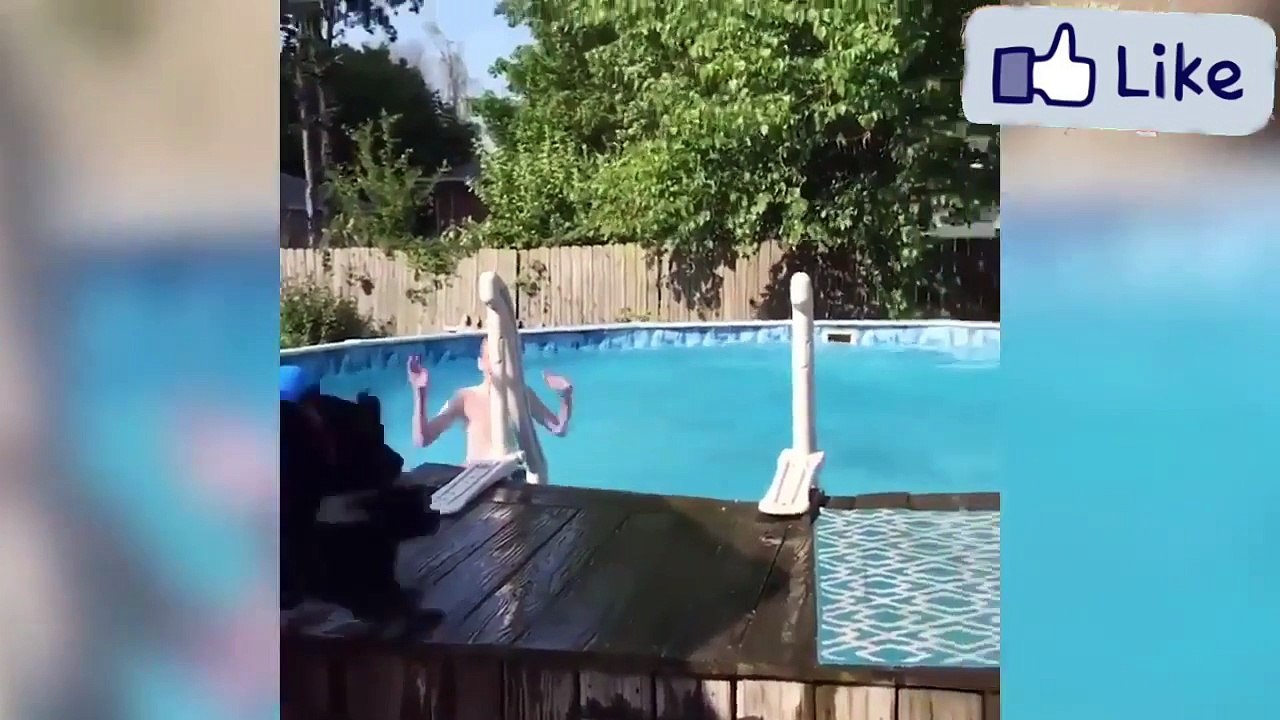 ANIMALS ARE IDIOTS 5!!!