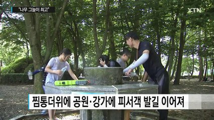 푹푹 가마솥더위엔 나무 그늘이 최고 / YTN