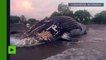 [Actualité] Une baleine morte pesant plus de 25 tonnes a été retrouvée sur une plage du Nicaragua
