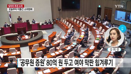 휴일에도 추경안 심사...'공무원 증원' 여야 충돌 / YTN