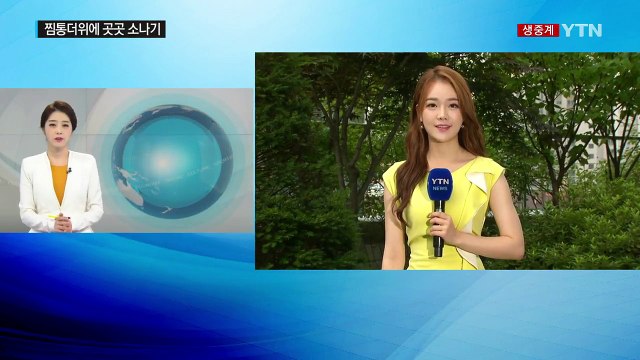 [날씨] 제헌절 무더위 기승...내륙 곳곳 소나기 / YTN