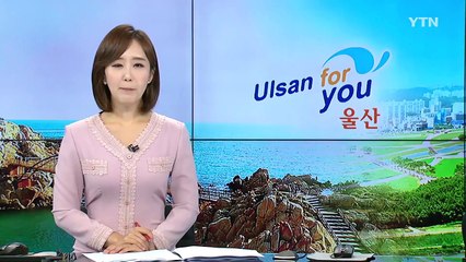 [울산] 울산 재약산에서 3백 년 최고령 등칡 발견 / YTN