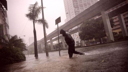 Trump declara Florida zona de "gran desastre" por Irma