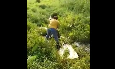 Keberanian Seorang Ibu Hadapi Ular Piton Seorang Diri